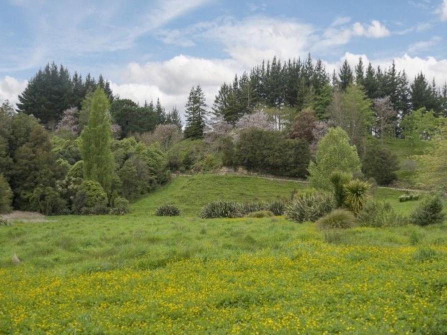 Above The River Karapiro Bed & Breakfast מראה חיצוני תמונה