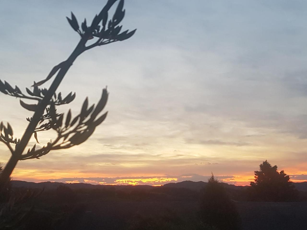 Above The River Karapiro Bed & Breakfast מראה חיצוני תמונה