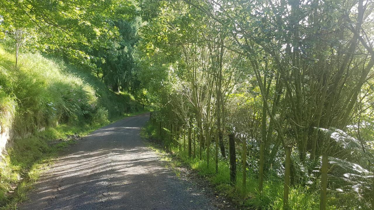Above The River Karapiro Bed & Breakfast מראה חיצוני תמונה