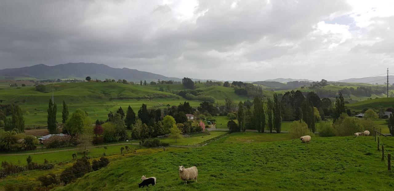 Above The River Karapiro Bed & Breakfast מראה חיצוני תמונה
